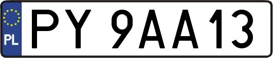 PY9AA13