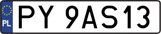 PY9AS13