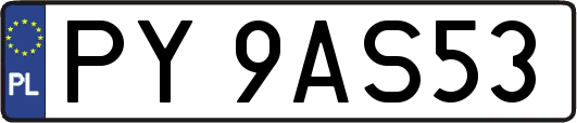 PY9AS53
