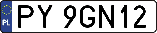 PY9GN12