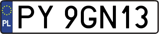 PY9GN13