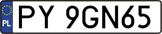 PY9GN65