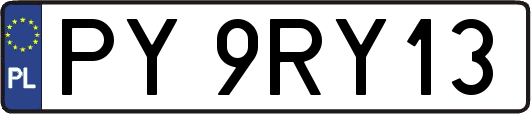 PY9RY13