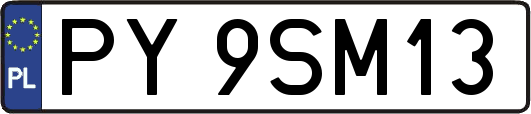 PY9SM13