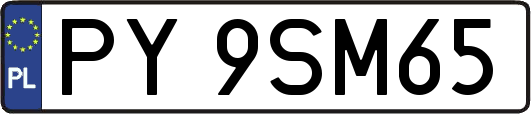 PY9SM65