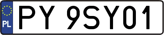 PY9SY01