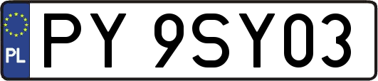 PY9SY03