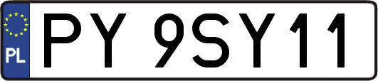 PY9SY11