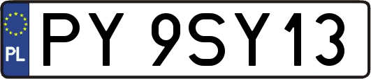 PY9SY13
