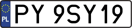 PY9SY19