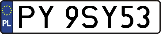 PY9SY53