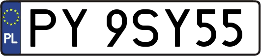 PY9SY55
