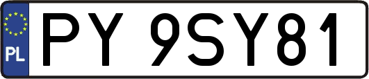 PY9SY81