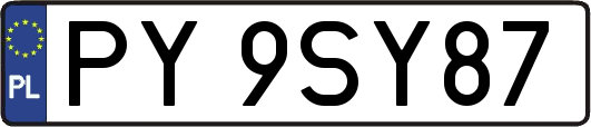 PY9SY87