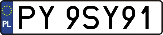 PY9SY91