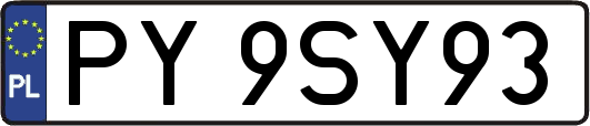 PY9SY93