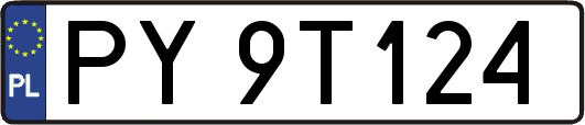 PY9T124