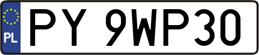 PY9WP30