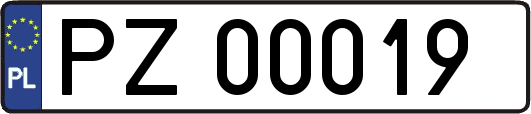 PZ00019