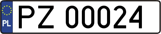 PZ00024