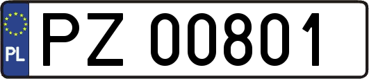 PZ00801