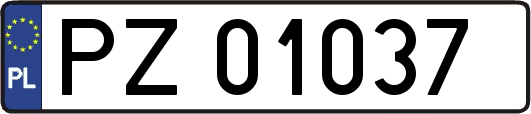 PZ01037