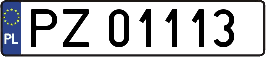 PZ01113