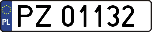 PZ01132