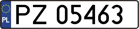 PZ05463