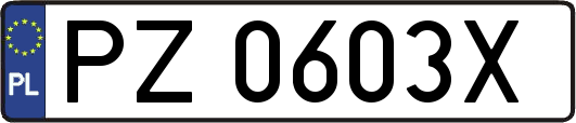 PZ0603X