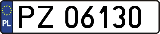 PZ06130