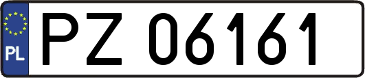 PZ06161