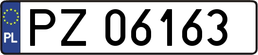 PZ06163