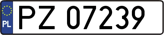 PZ07239