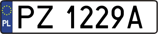 PZ1229A