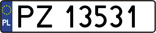 PZ13531