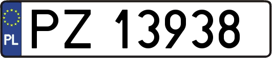 PZ13938