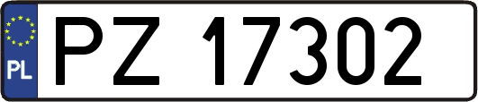 PZ17302