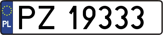 PZ19333