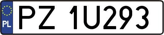 PZ1U293