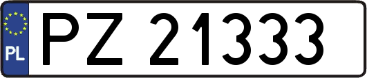 PZ21333