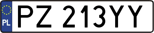 PZ213YY