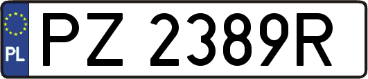 PZ2389R