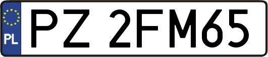 PZ2FM65