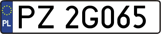 PZ2G065