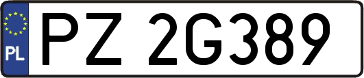 PZ2G389
