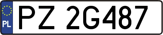 PZ2G487