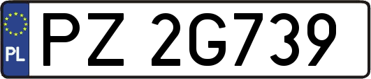 PZ2G739