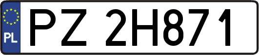 PZ2H871
