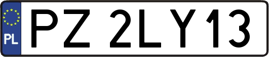 PZ2LY13